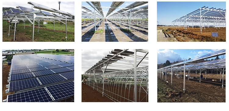 agricoltura solare.jpg