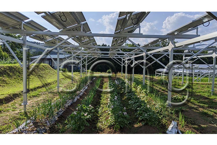 solare-fattoria-mount.jpg