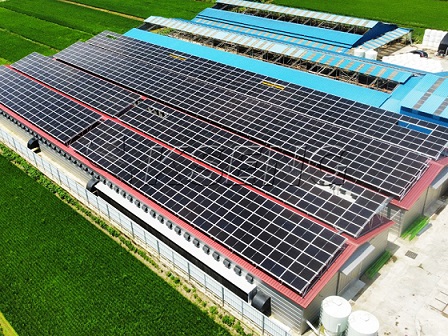 400KW - Soluzione solare sul tetto in Corea