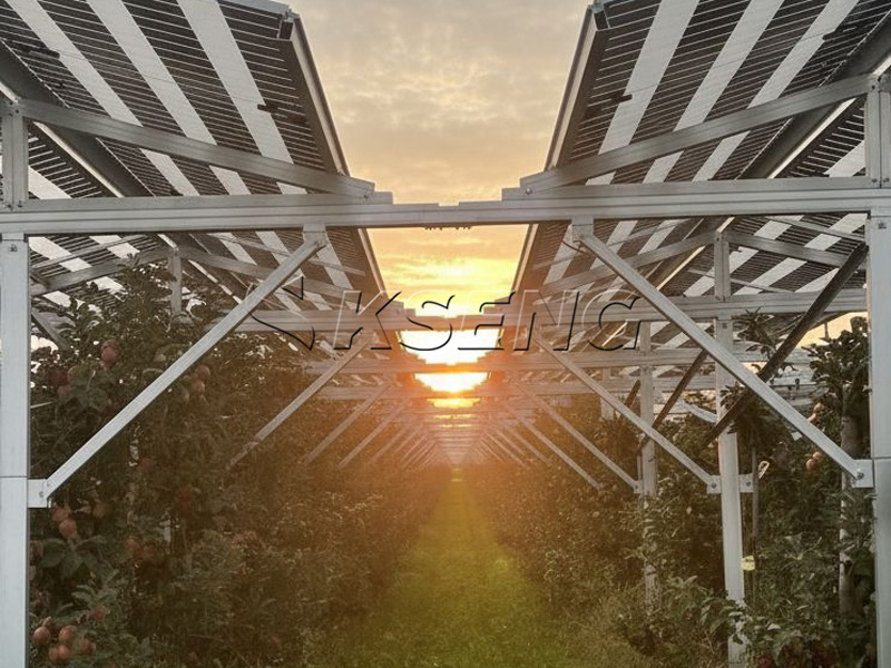 Case Study – 3MW Solar Farm in Germany: A Success Story with Kseng Solar’s Agri-PV Structure