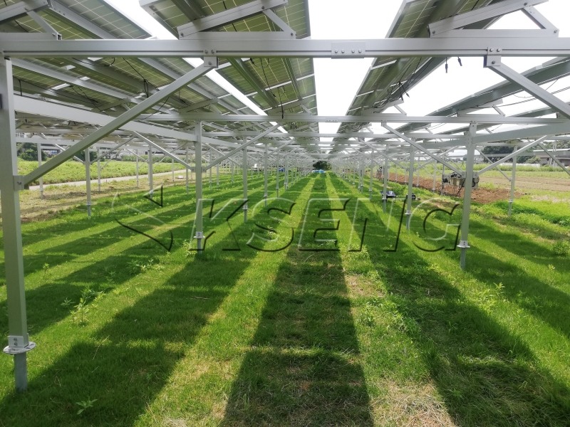 Un articolo sui sistemi fotovoltaici agricoli complementari