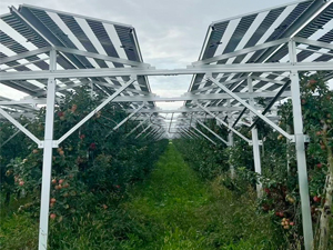 Progetto di supporto per un parco agricolo solare da 3 MW in Germania